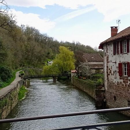 Saint Jean Pied De Port. Centre Ville. Rue Pietonne Eksteriør billede