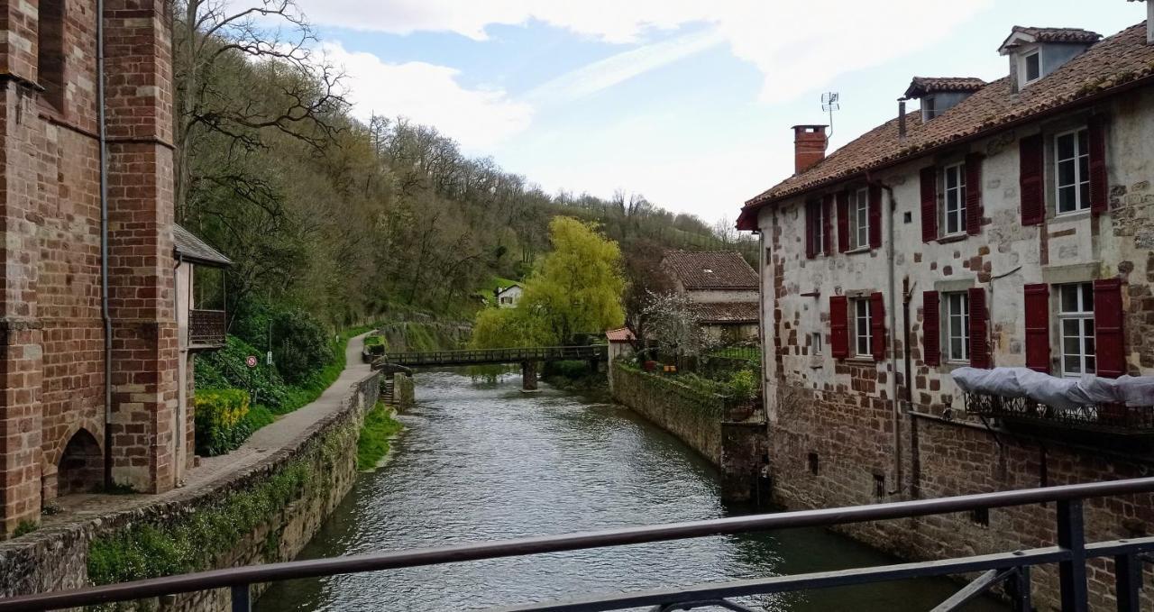 Saint Jean Pied De Port. Centre Ville. Rue Pietonne Eksteriør billede