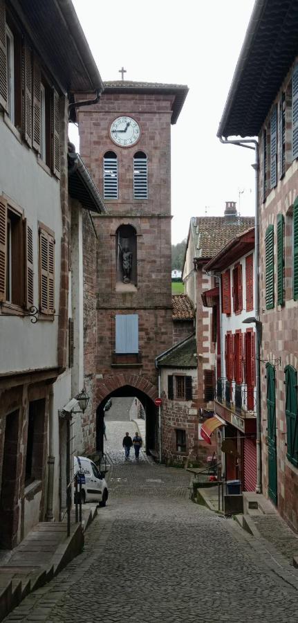 Saint Jean Pied De Port. Centre Ville. Rue Pietonne Eksteriør billede